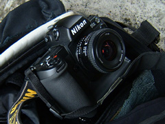 Nikon D1X